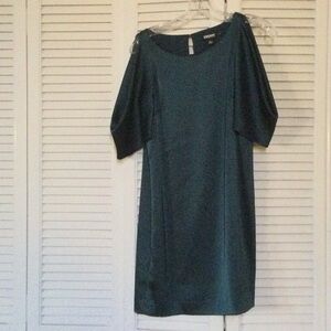 DKNY Dark Teal Long Sleeve Dress
